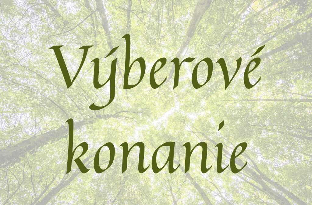 Výberové konanie