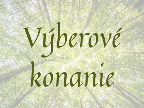 Výberové konanie