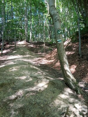 NCH Súľovské skaly